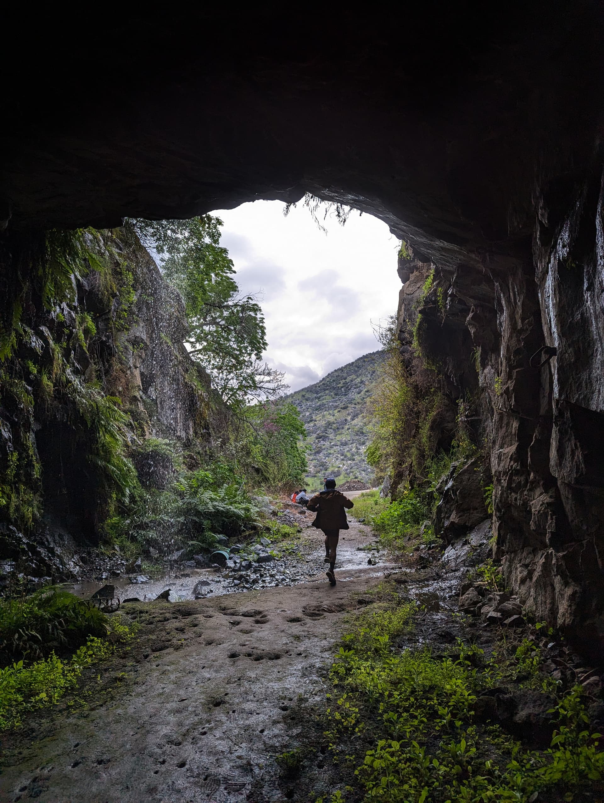 A Cave in Stevenson Falls